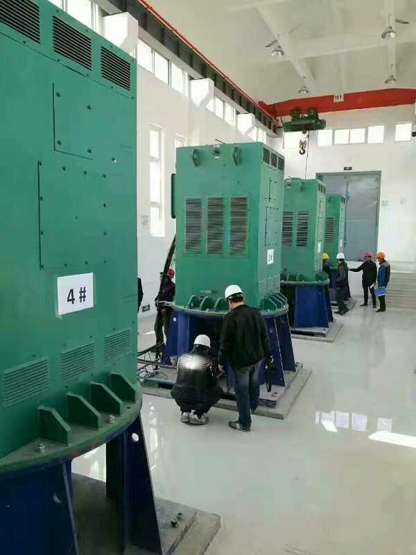 漯河某污水处理厂使用我厂的立式高压电机安装现场